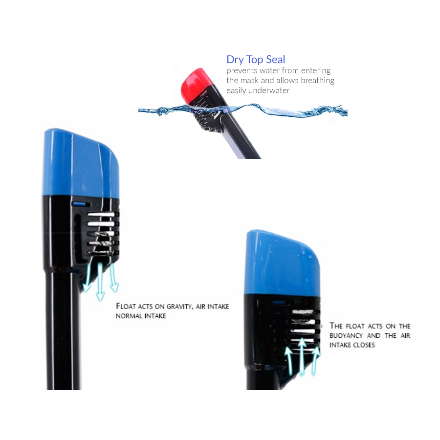 the-original-online-store-of-camgo-full-face-snorkel-camera-mask-online-now_8.png