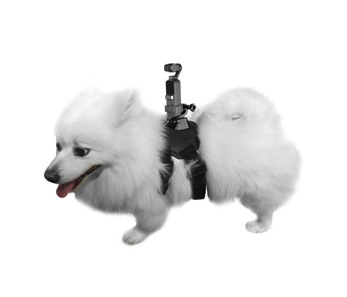 make-your-order-official-of-dog-mount-for-pocket-2-online-now_0.jpg